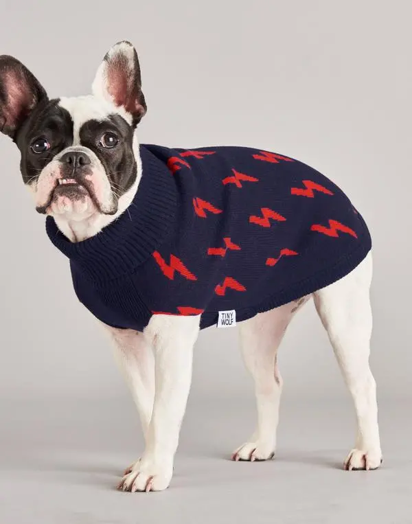 Tiny Wolf | Lightning Bolt Dog Sweater 1