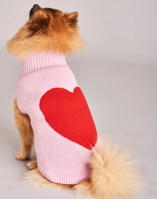 Tiny Wolf | Love Heart Dog Sweater 1