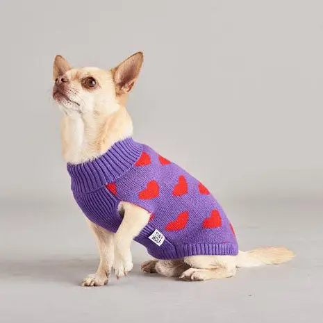 Tiny Wolf | Multi Heart Dog Sweater 1