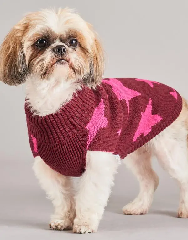 Tiny Wolf | Superstar Dog Sweater 1