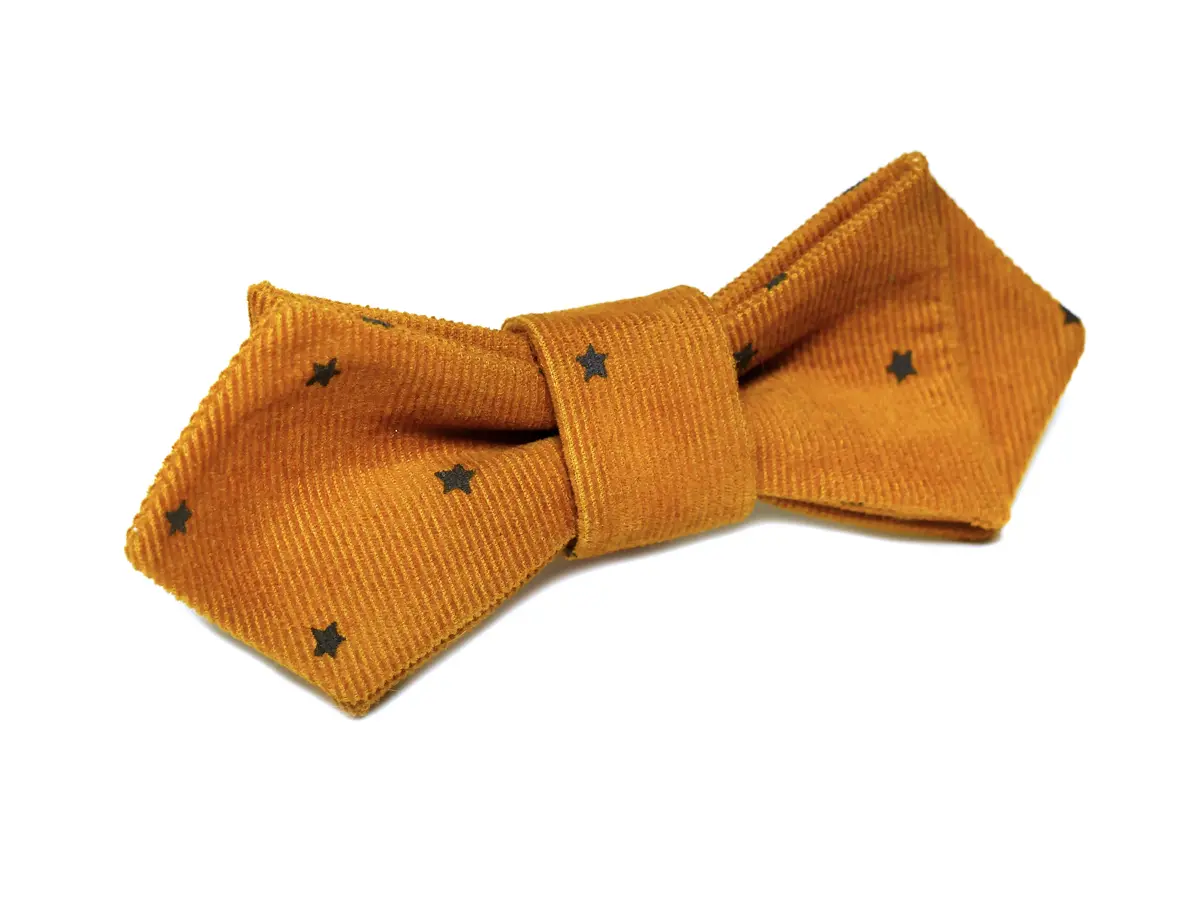 Trax Ties | The Bowie Contemporary Bow Tie 1