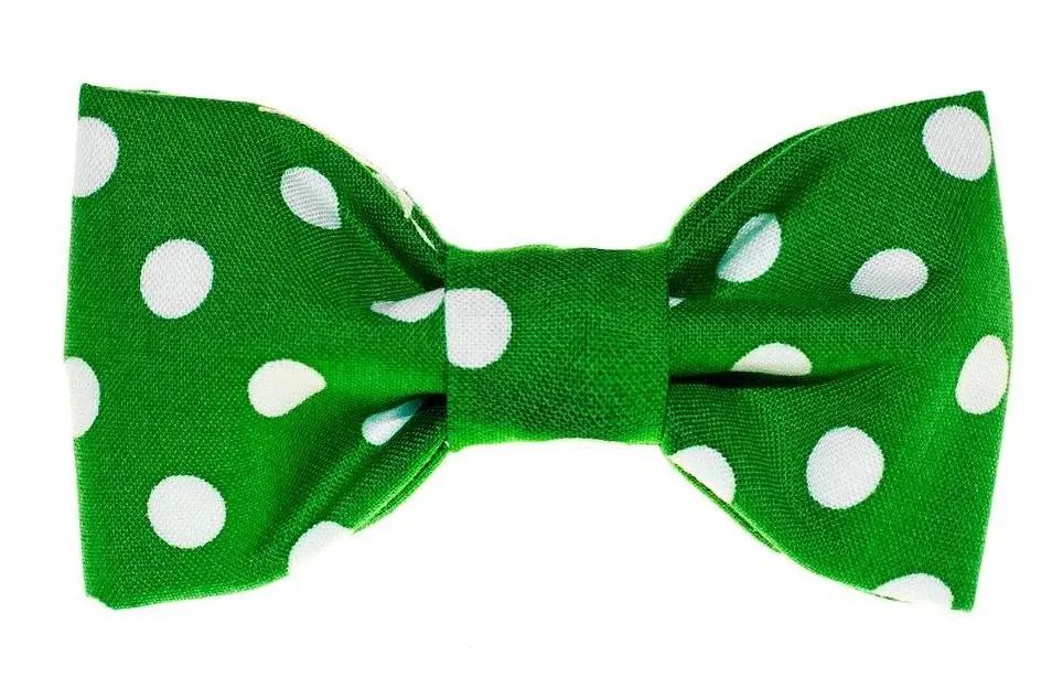 Trish Hampton | Big Green Dots Bow Tie 1