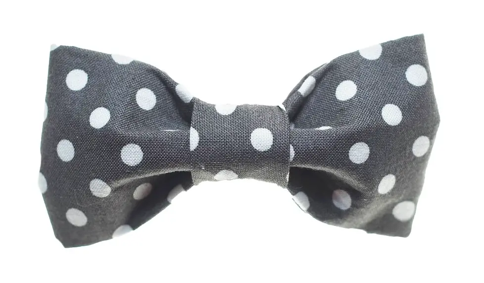 Trish Hampton | Grey With White Dots Bow Tie 1