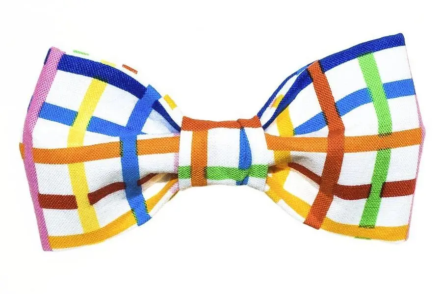 Trish Hampton | Rainbow Plaid Bow Tie 1