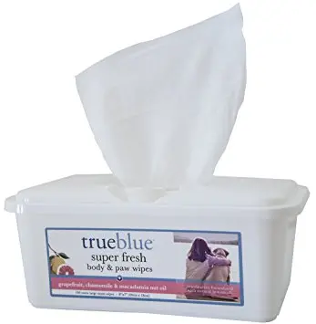 True Blue | Body & Paw Wipes 1
