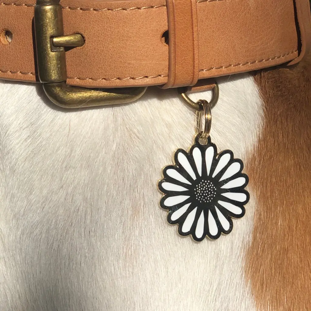 Daisy Id Tag (Custom) 2