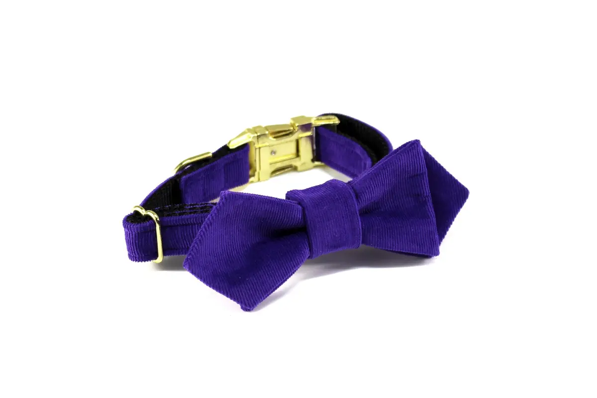 Trax Ties | The Jones Contemporary Bow Tie And Collar 1