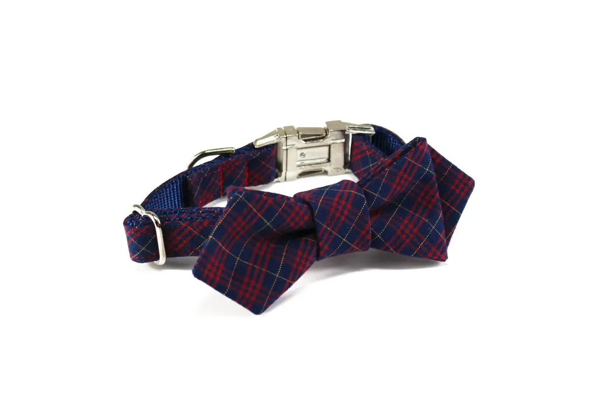 Trax Ties | The Colton Contemporary Bow Tie 1
