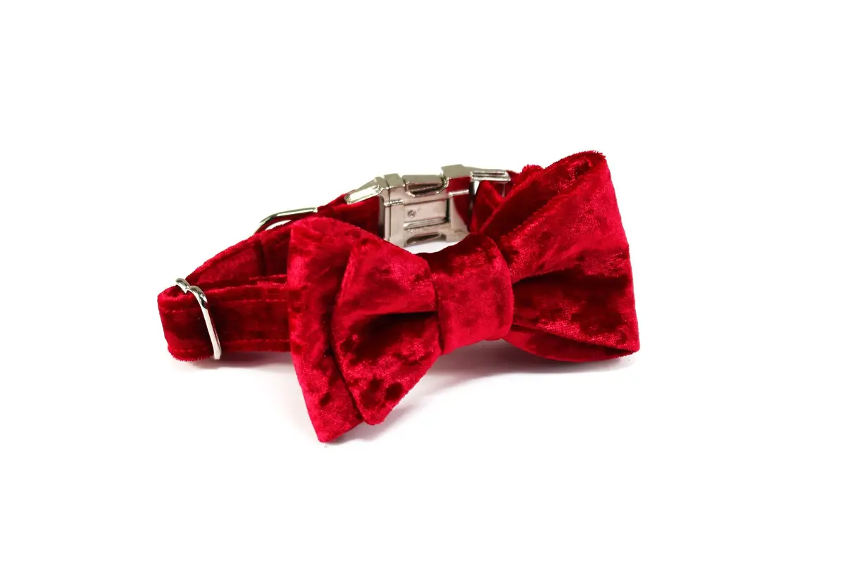 Trax Ties | The Elton Classic Bow Tie 1