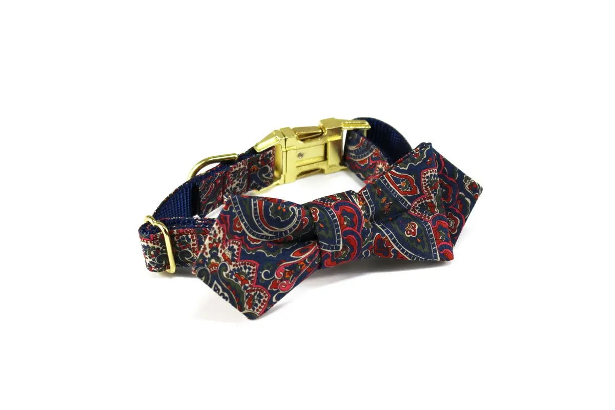 Trax Ties | The Hendrix Contemporary Bow Tie 1