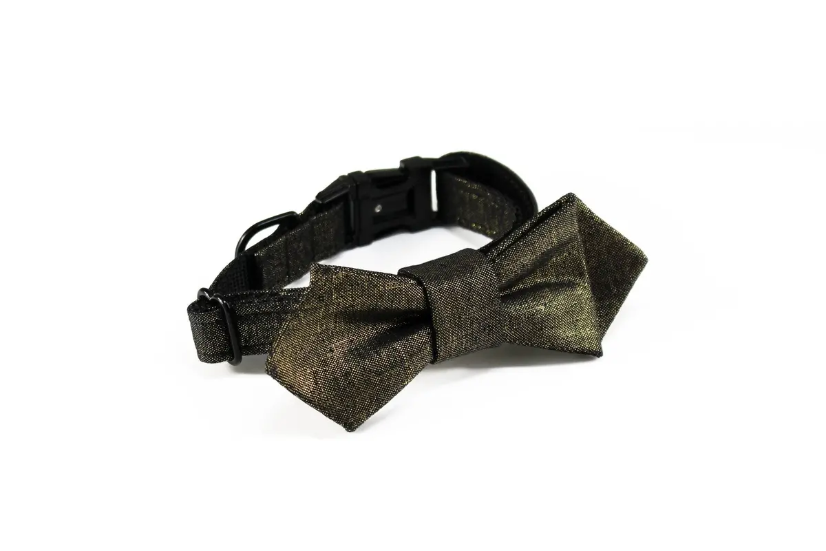 Trax Ties | The Ziggy Contemporary Bow Tie 1