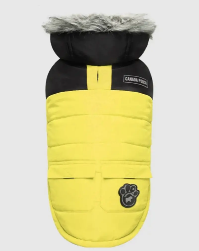 True North Dog Parka In Yellow (Final Sale) 1