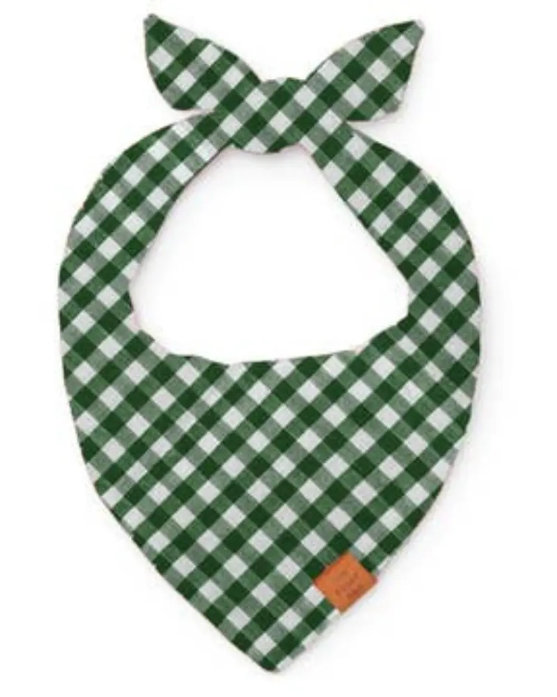 Mini Gingham Hunter Green Dog Bandana (Made In The Usa) (Final Sale) 1