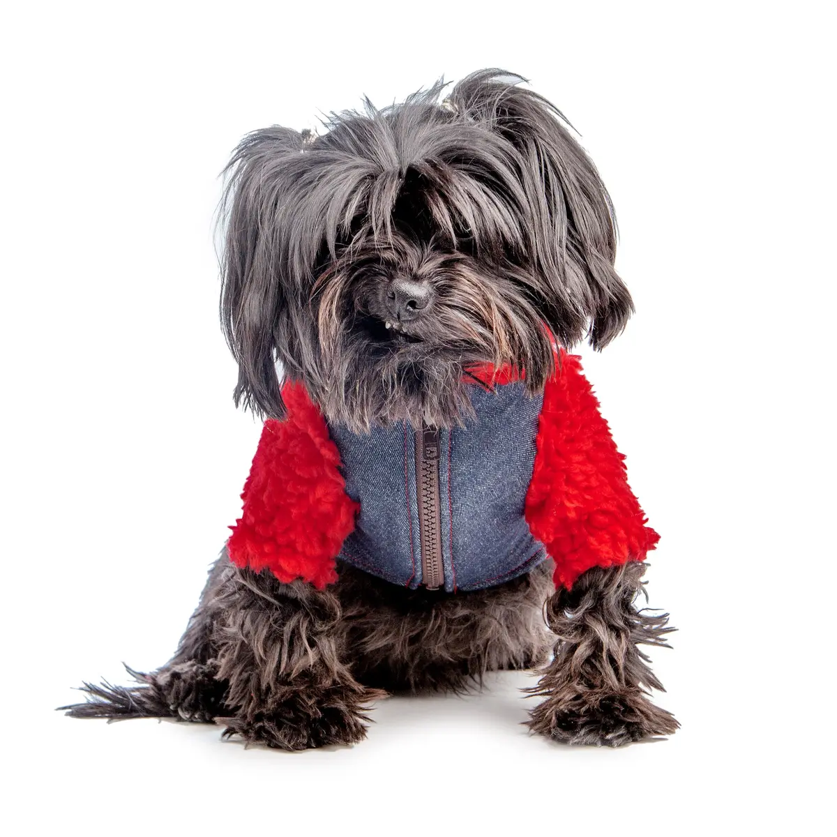 Monkey Fleece In Red And Denim (Dog & Co. Exclusive) (Final Sale) 1