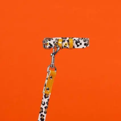 Leopard And Stripe Collar 1