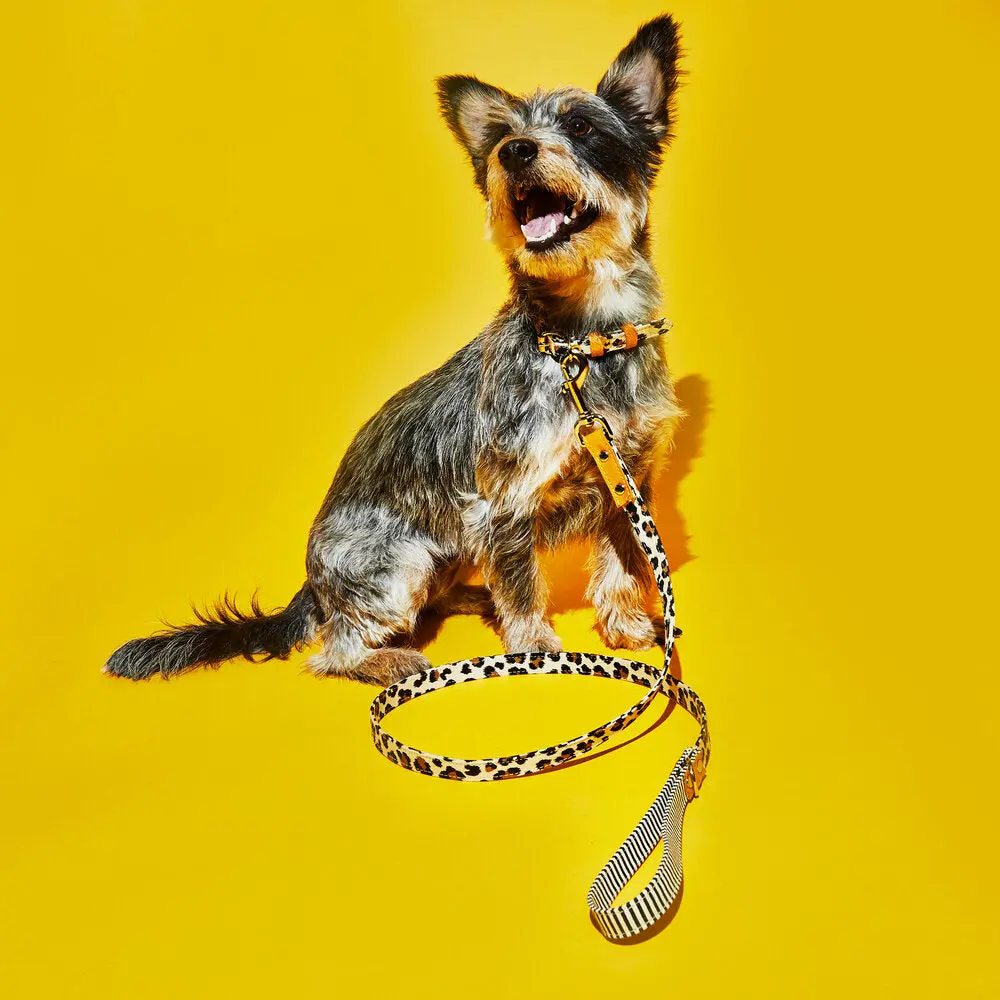 Leopard And Stripe Leash 1
