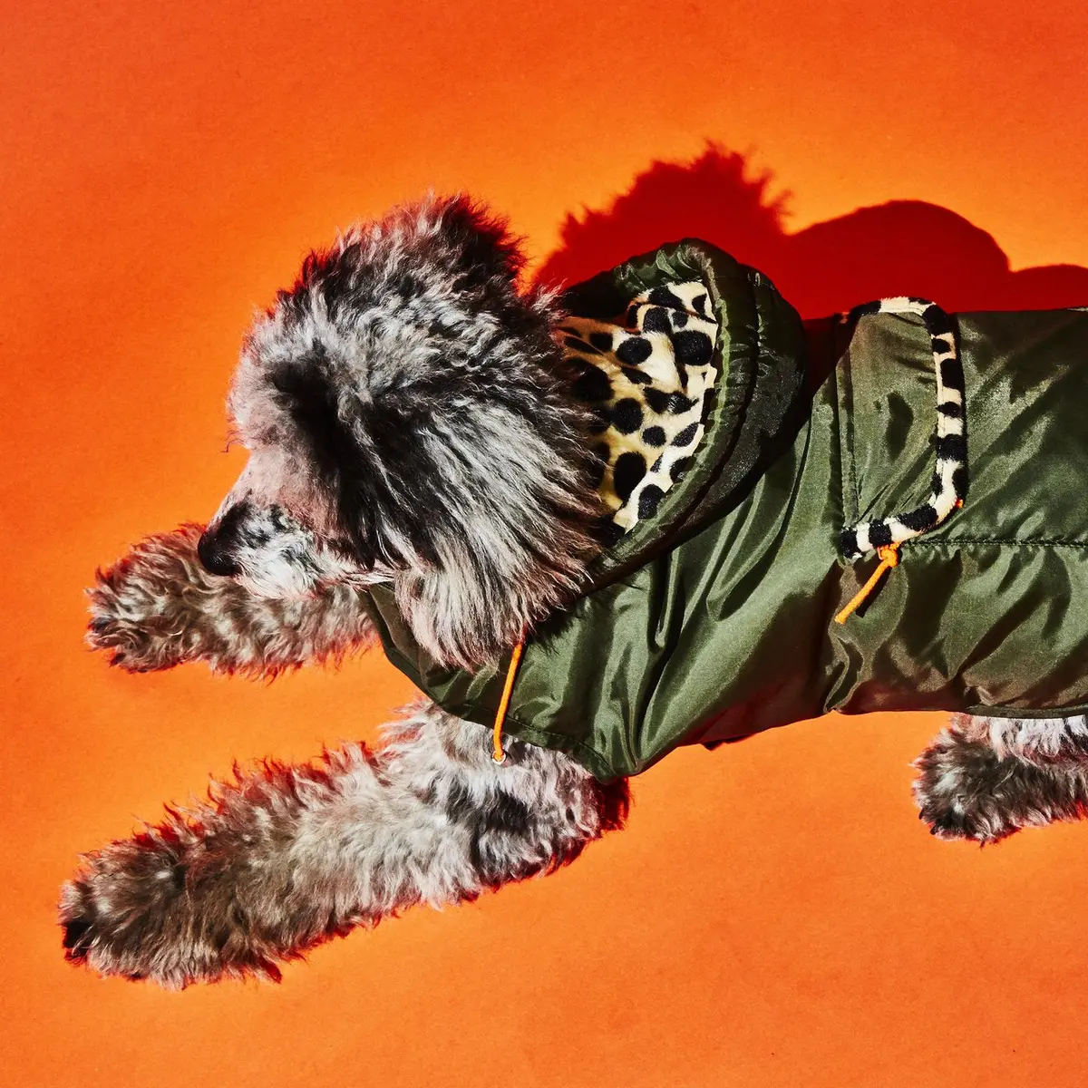 Olive W/ Animal Print Lining Puffer Dog Coat (Final Sale) 1