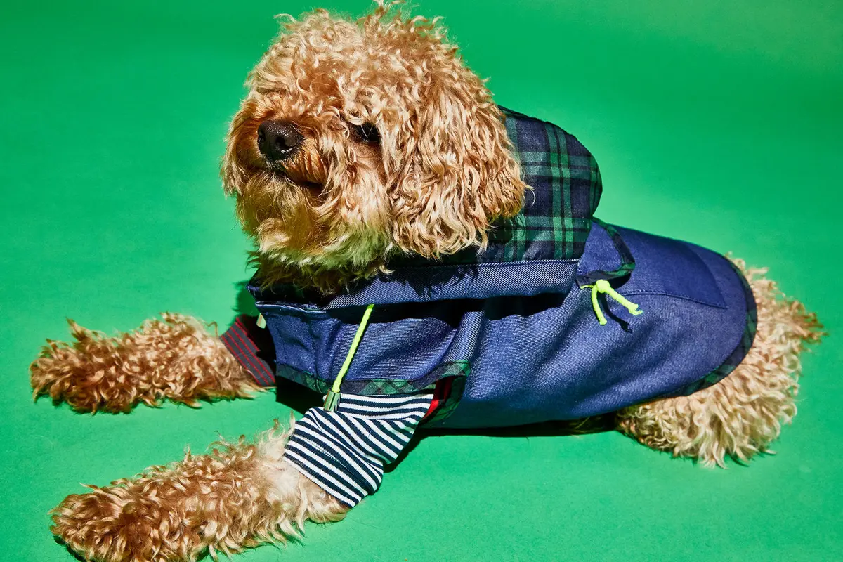 Ware Of The Dog | Blue Anorak Raincoat With Tartan Trim 2