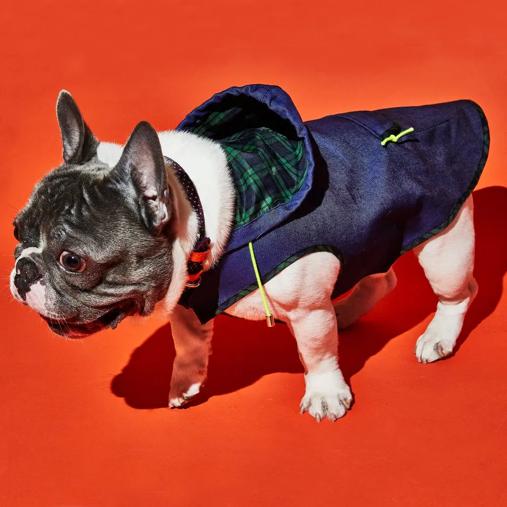 Ware Of The Dog | Blue Anorak Raincoat With Tartan Trim 5