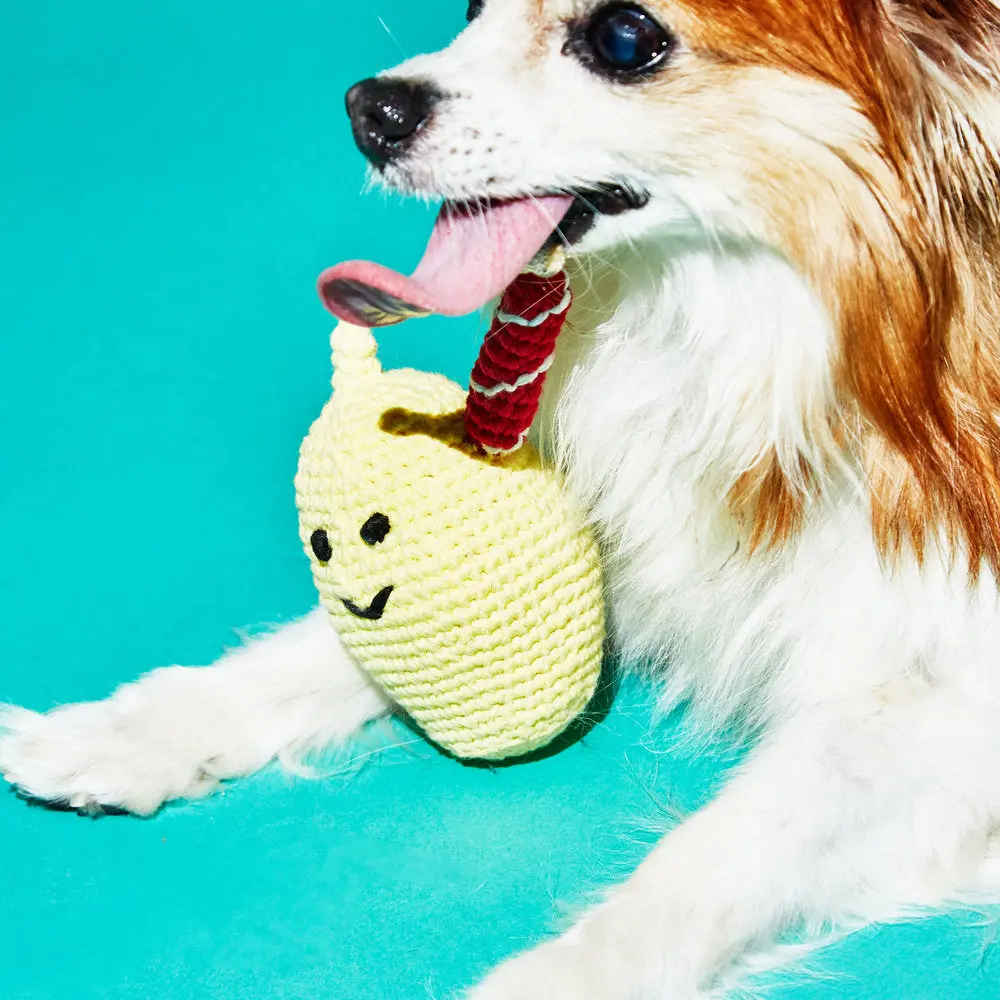 Ware Of The Dog | Hand Crochet Lemonade Toy 2