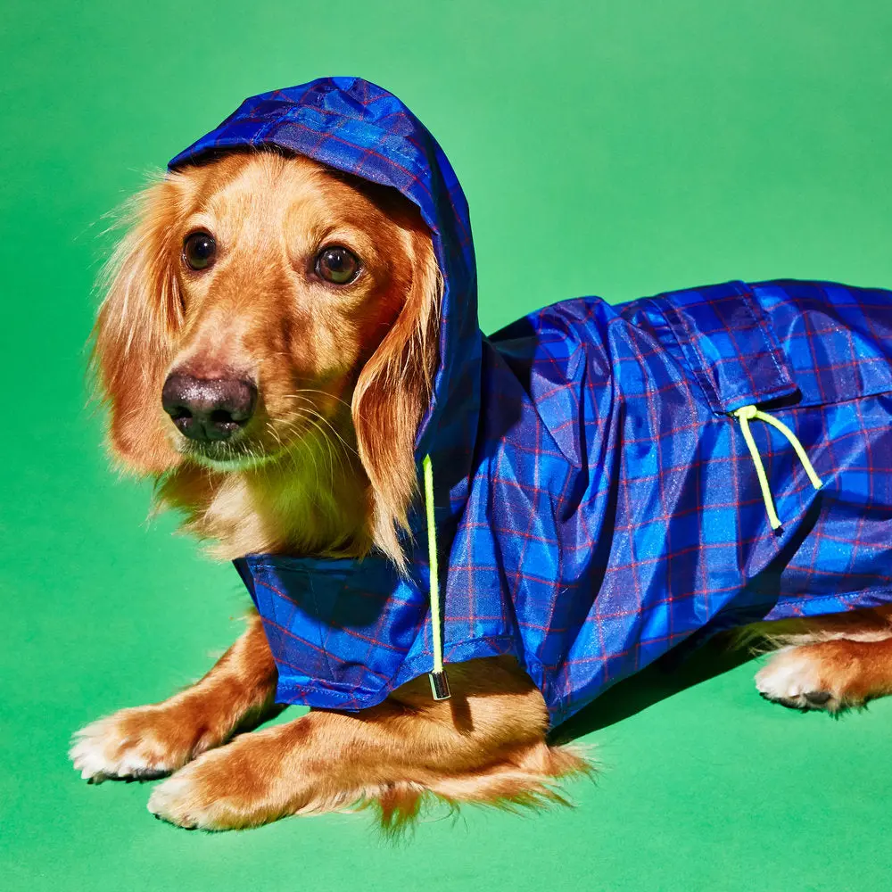 Ware Of The Dog | Plaid Anorak Raincoat In Purple/Multi 1