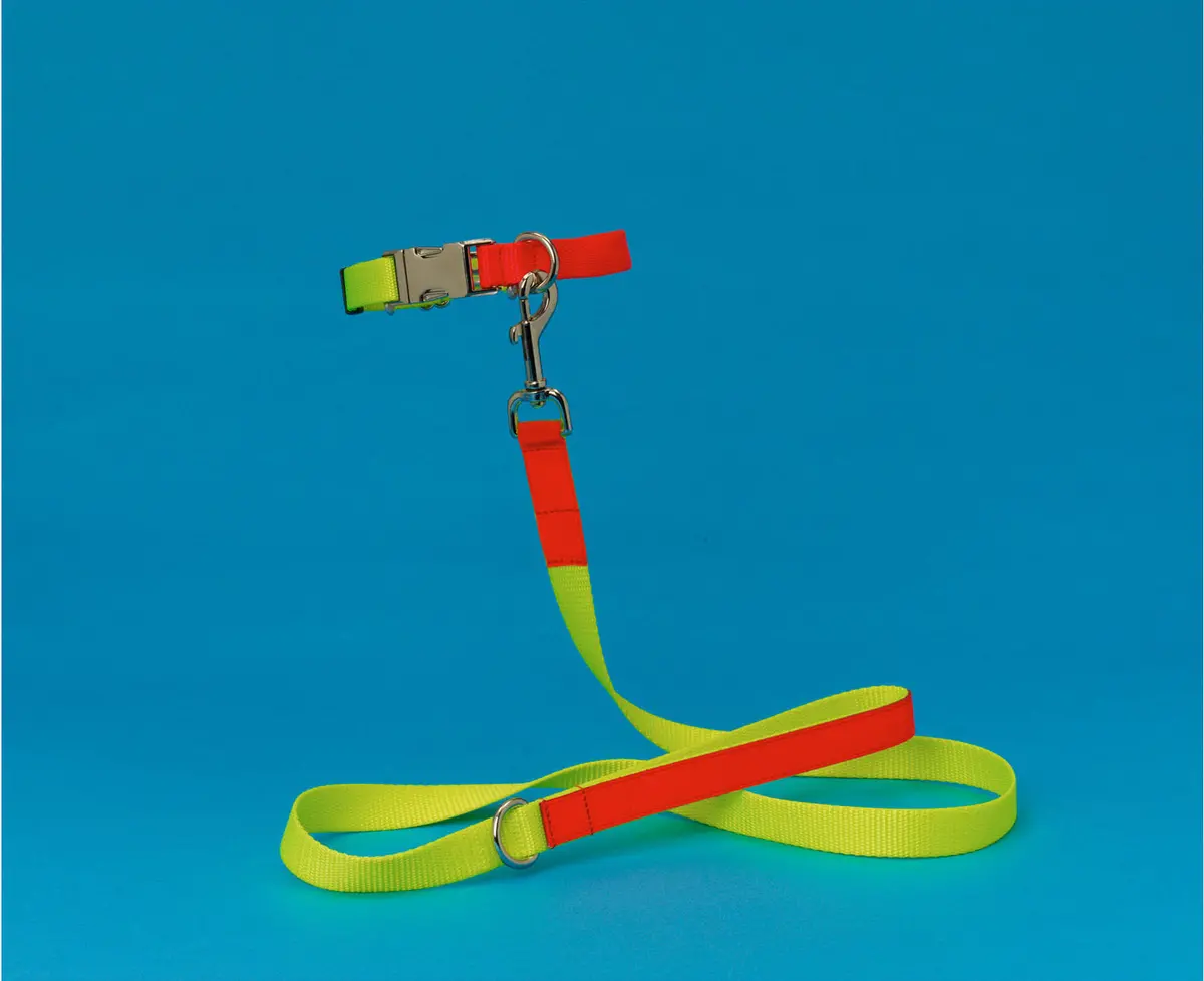 Ware Of The Dog | Nylon Leash In Yellow/Orange 1