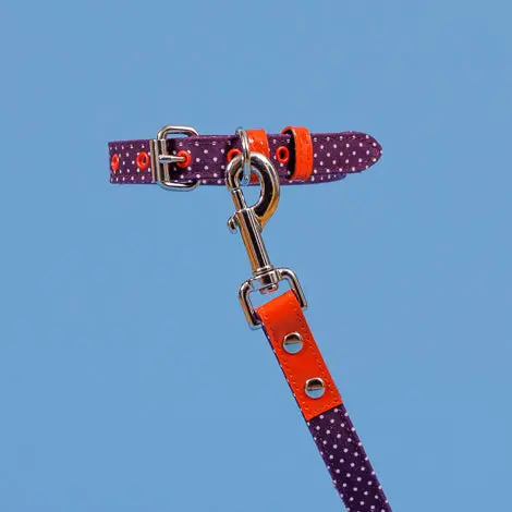 Ware Of The Dog | Polka Dot Canvas Collar 1