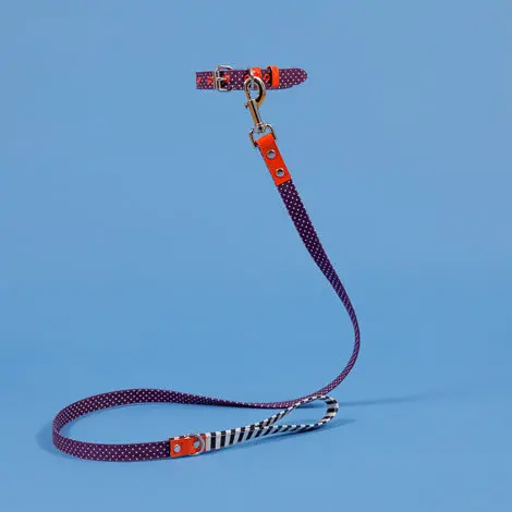 Ware Of The Dog | Polka Dot Canvas Leash 1