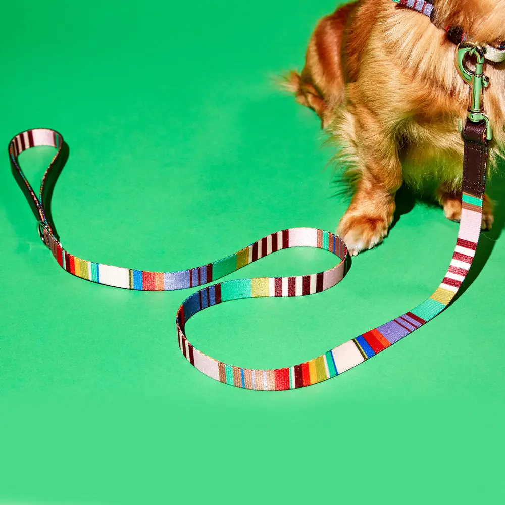 Striped Webbing Leash 1