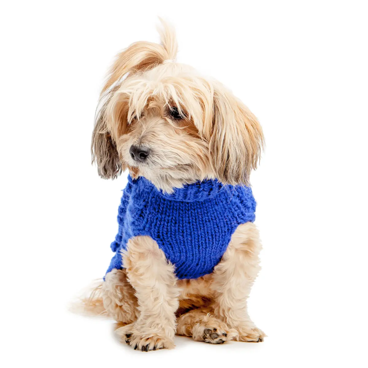 Worthy Dog | Hand Knit Turtleneck Sweater In Blue 1