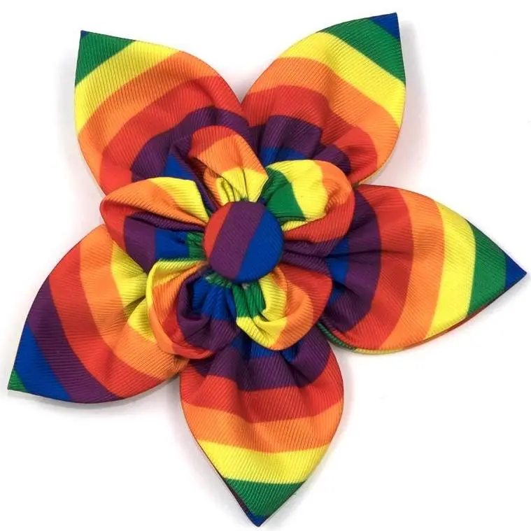 The Worthy Dog | Rainbow Flower 1
