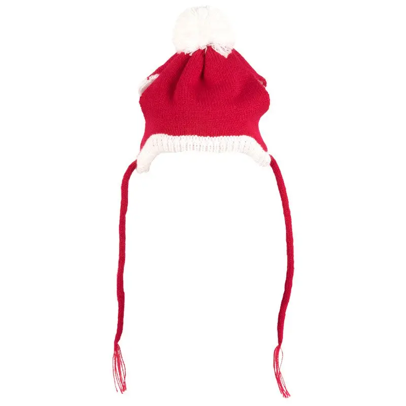 Worthy Dog | Santa Hat 1