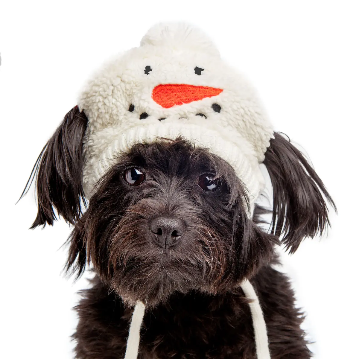 Silly Snowman Tie-On Dog Hat 1