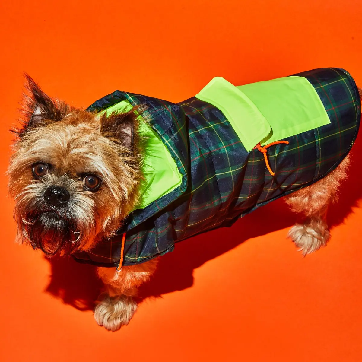 Plaid/Neon Nylon Puffer (Final Sale) 1