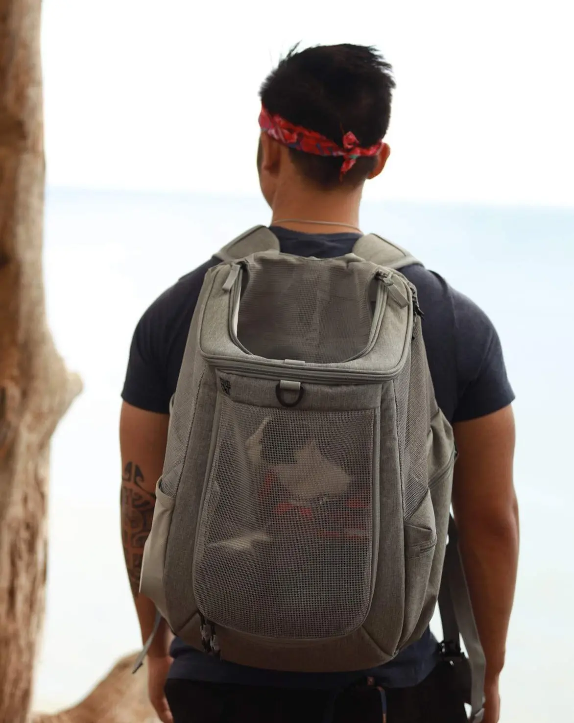 The Navigator Convertible Cat & Small Dog Backpack 1
