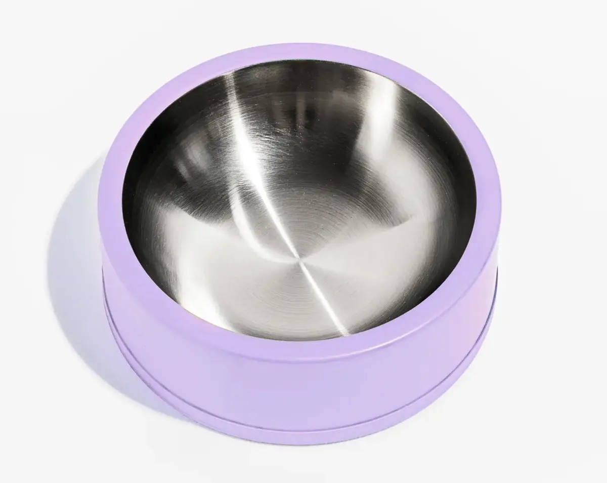 Wild One Dog Bowl In Lilac 1