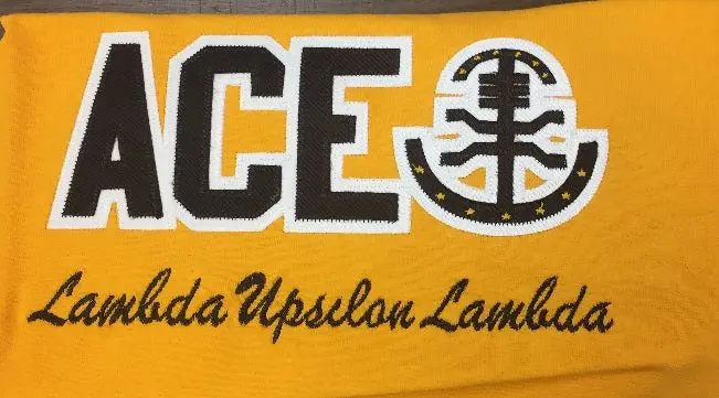 Lambda Upsilon Lambda Word Long Sleeve 1