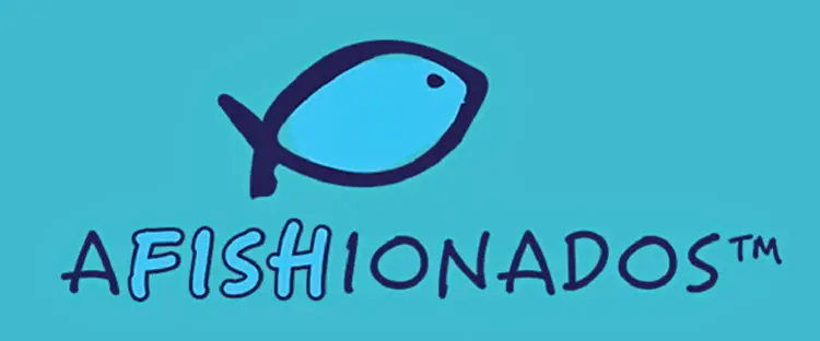 Afishionados Seafood Shop 1