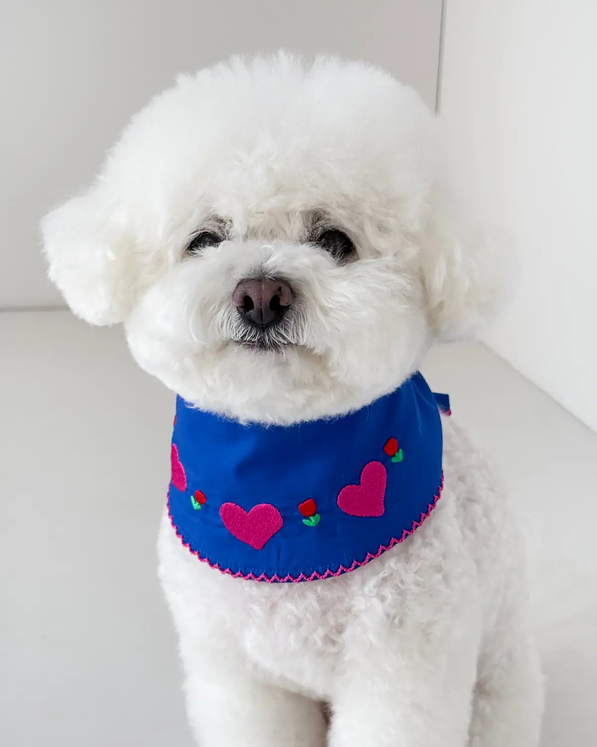 Summer Love Dog Bandana (Final Sale) 1