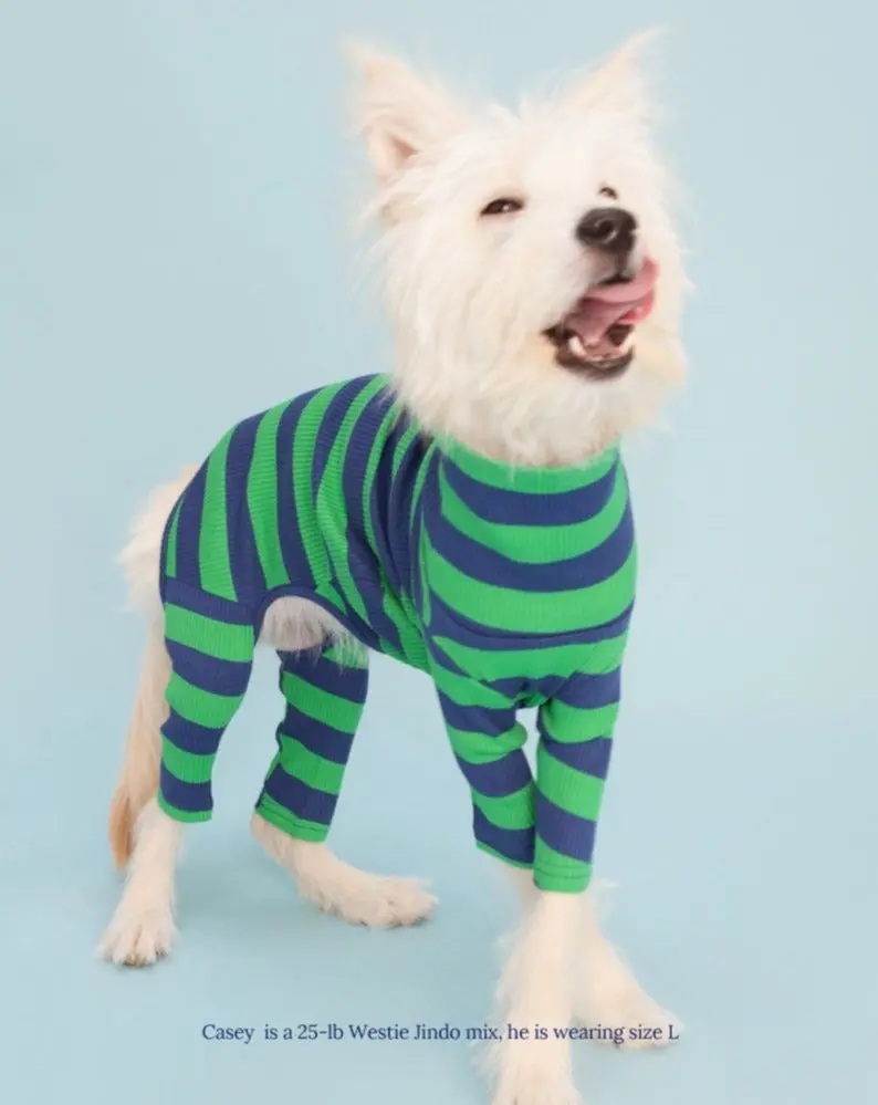 Martian Green + Navy Stripe Ribbed Onesie (Final Sale) 1