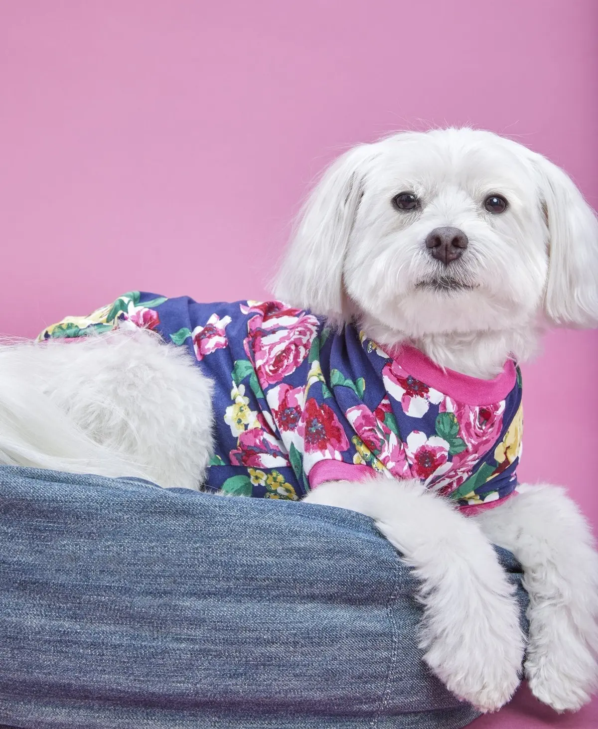 Bedhead | Lounge Dog T In Bella Rose 1