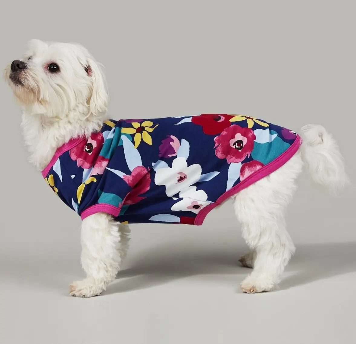 Bedhead | Lounge Dog T In Painter's Floral 1