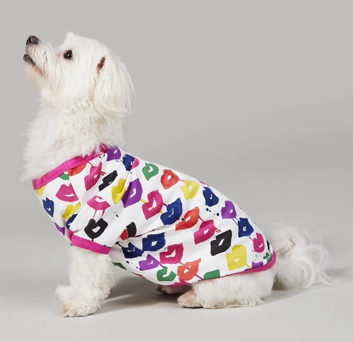 Bedhead | Lounge Dog T In Sealed With A Kiss 1