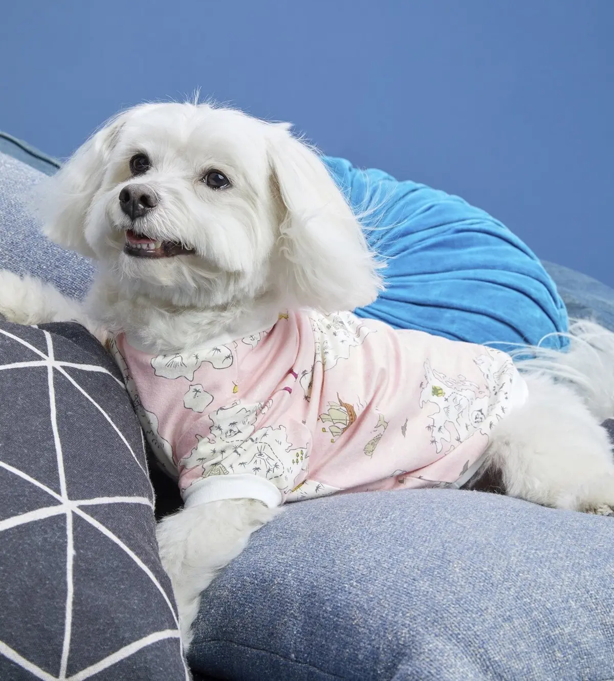 Bedhead | Lounge Dog T In Treasure Map 1