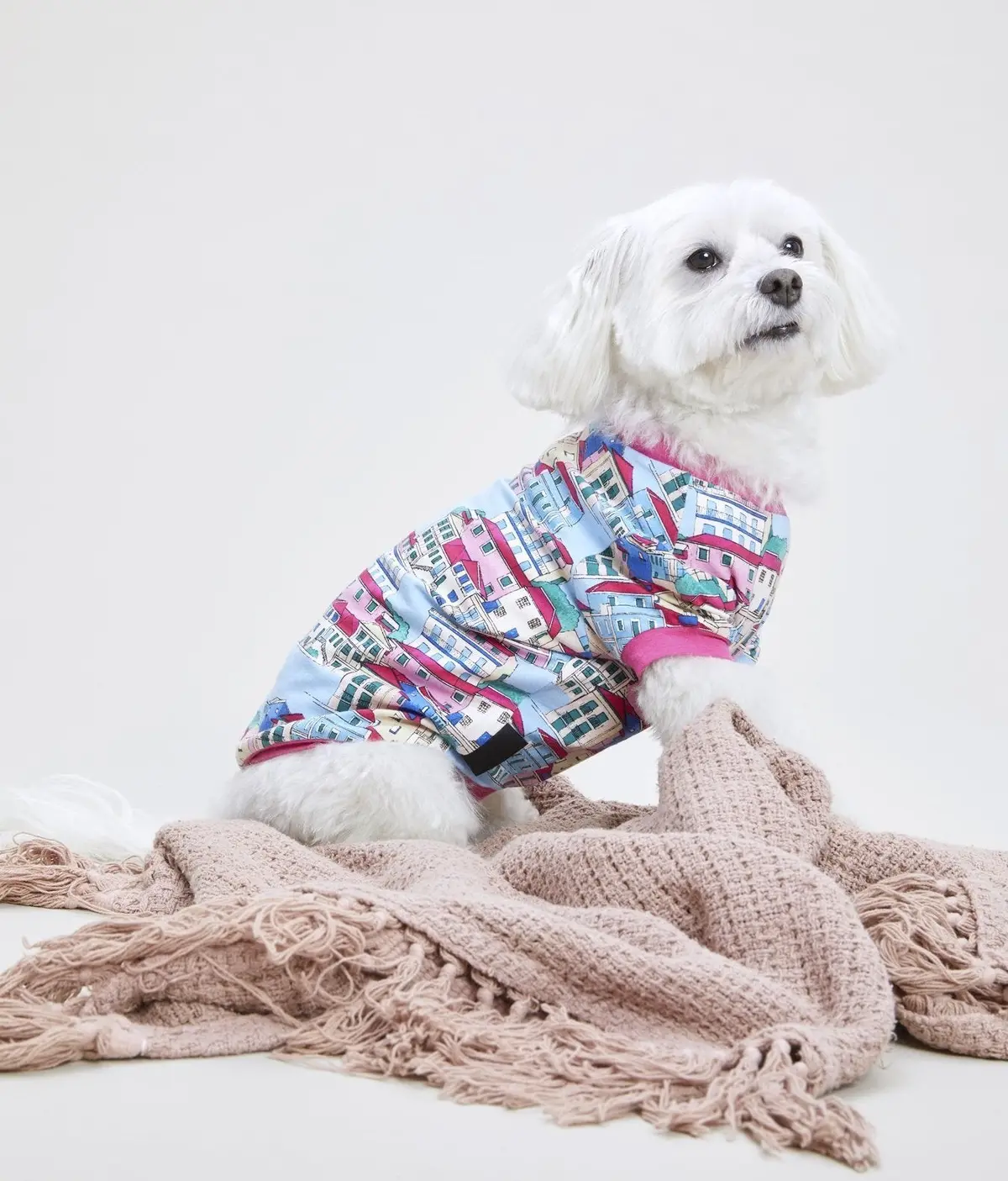Bedhead | Lounge Dog T In Villa 1