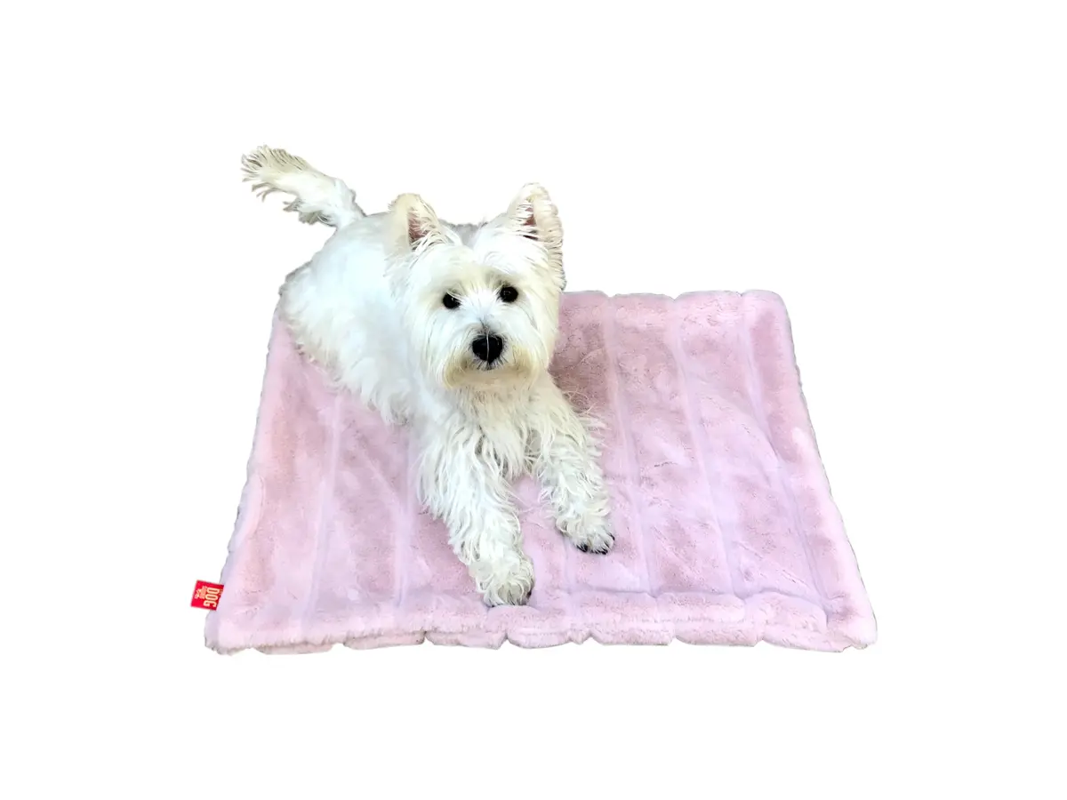 The Dog Squad | Koala Blush Blanket 1