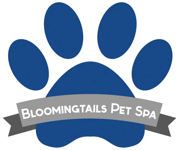 Blooming Tails Pet Spa 1