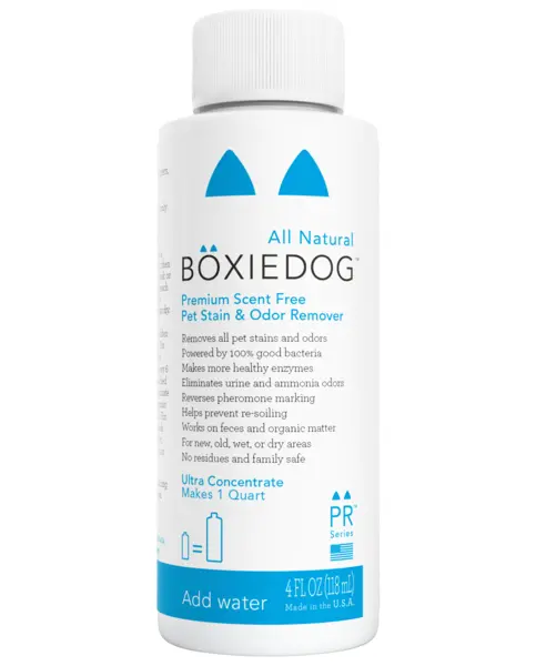 Premium Scent-Free Stain & Odor Remover (Ultra Concentrate) (Final Sale) 1