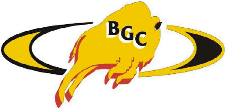 Buffalo's Golden Corner 1