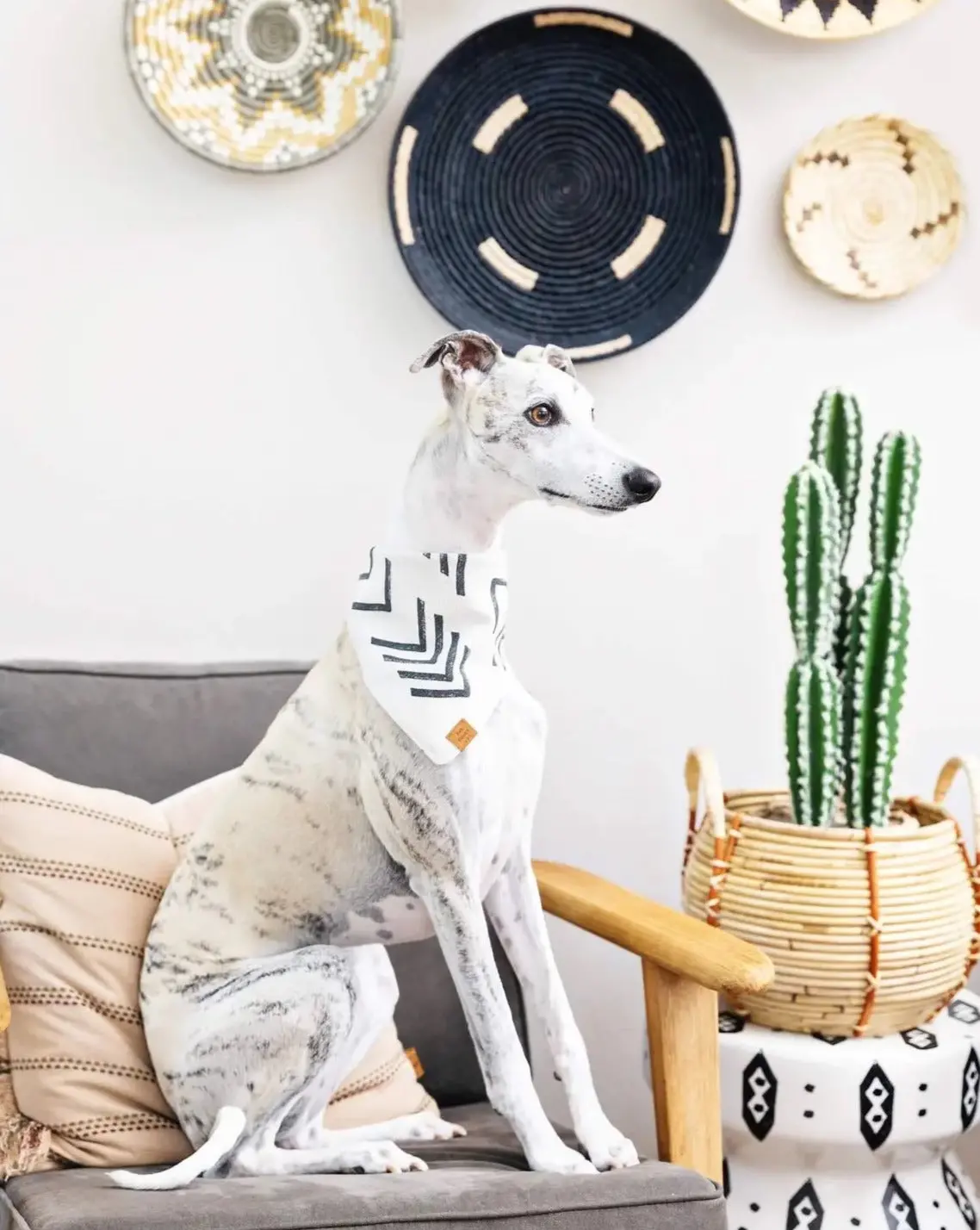 Modern Mud Cloth Natural Boho Dog Bandana (Made In The Usa) (Final Sale) 1
